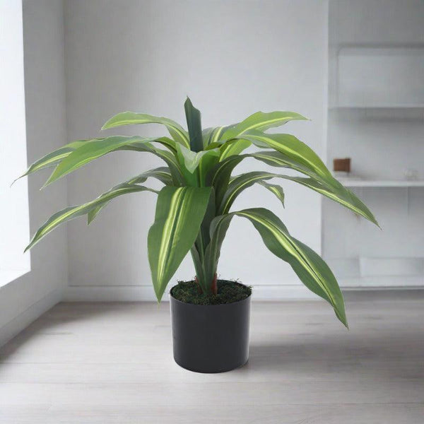 Artificial Plants - Faux Dracaena Plant With Pot - 2.13 ft