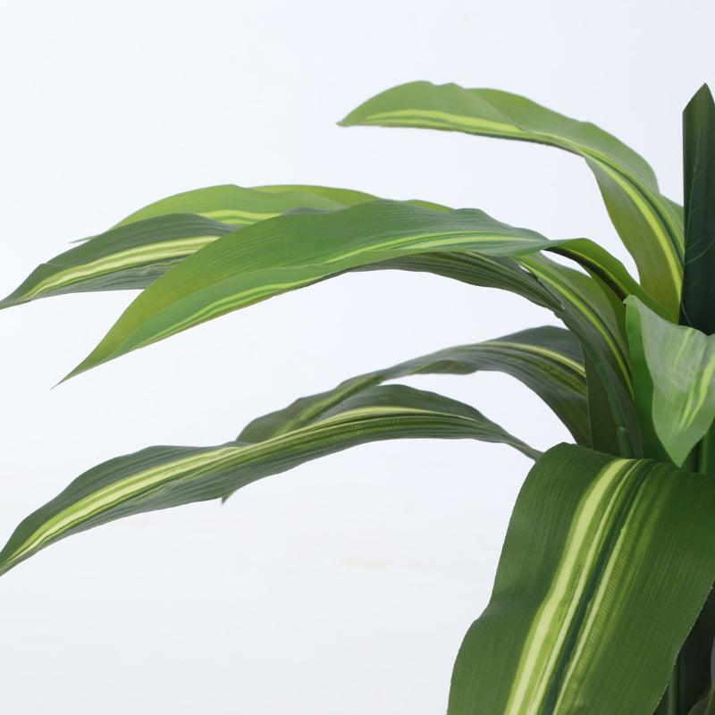 Artificial Plants - Faux Dracaena Plant With Pot - 2.13 ft