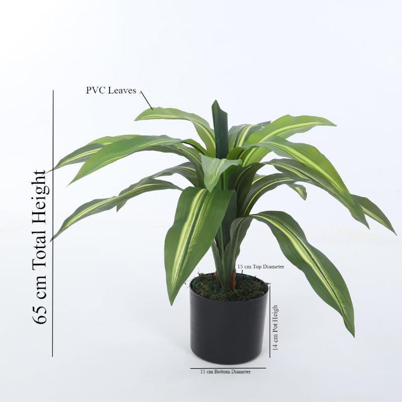 Artificial Plants - Faux Dracaena Plant With Pot - 2.13 ft