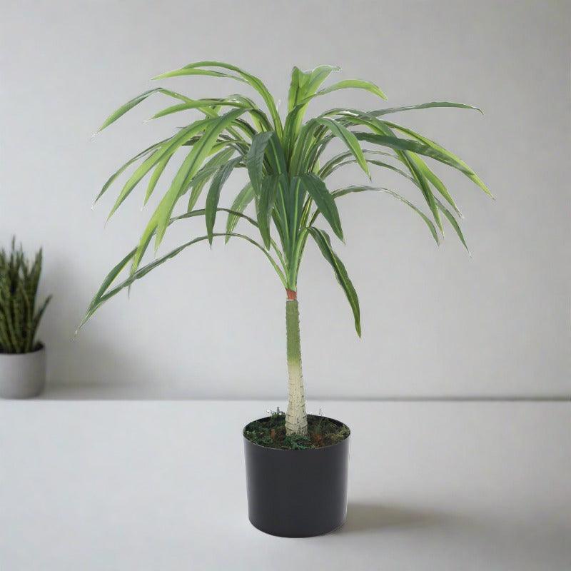 Artificial Plants - Faux Dragon Tree Plant With Pot - 2.62 ft