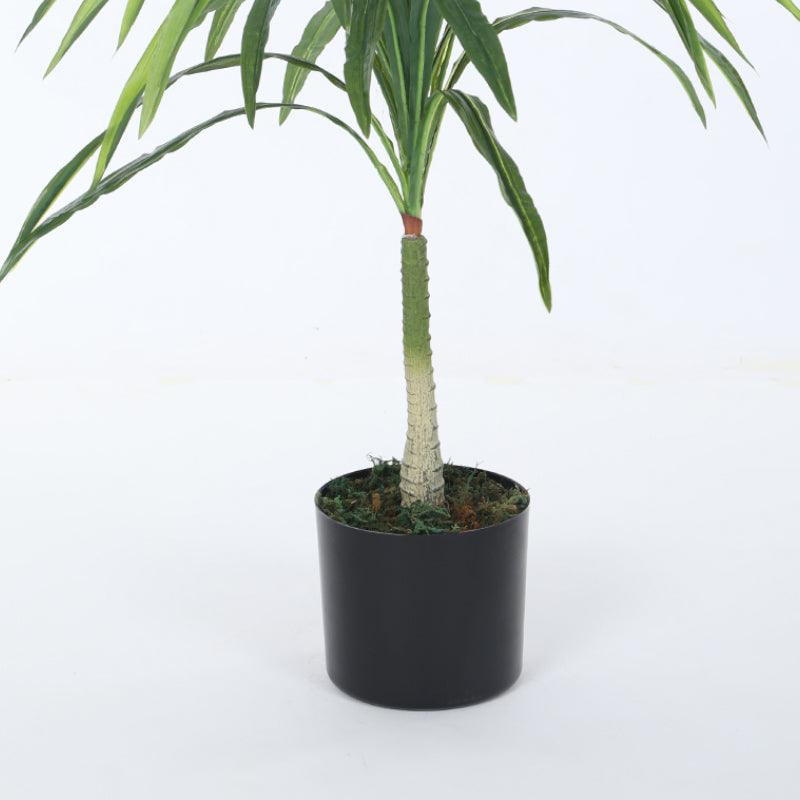 Artificial Plants - Faux Dragon Tree Plant With Pot - 2.62 ft