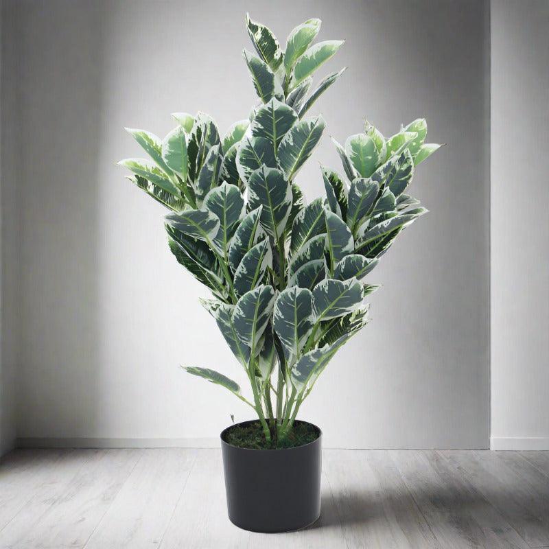 Buy Faux Dumb Cane Plant With Pot - 2.79 ft Artificial Plants from Vaaree