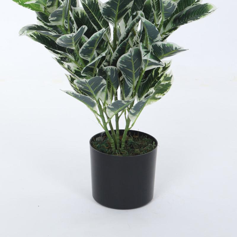 Artificial Plants - Faux Dumb Cane Plant With Pot - 2.79 ft