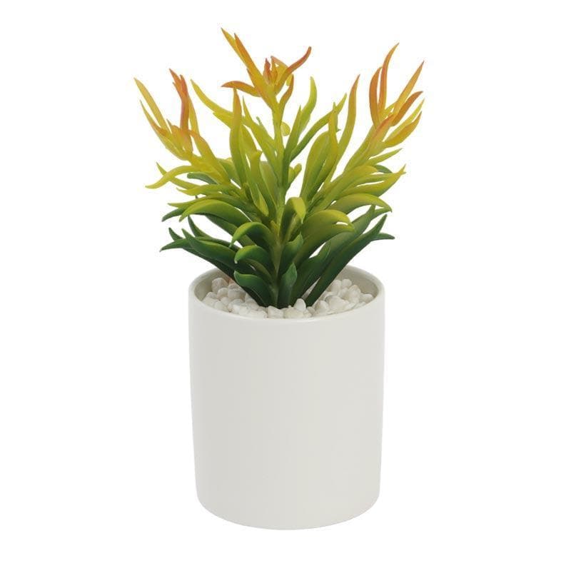 Artificial Plants - Faux Euphorbia In Decorative Pot - 20.5 cms