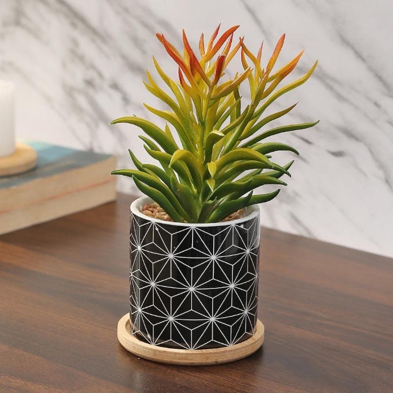 Artificial Plants - Faux Euphorbia In Minimalist Pot - 18.5 cms