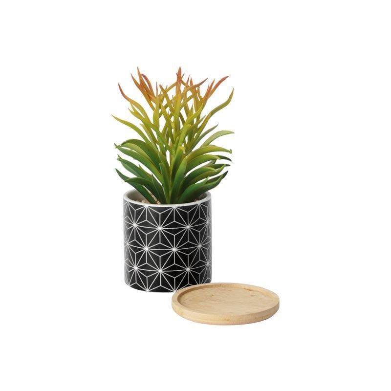 Artificial Plants - Faux Euphorbia In Minimalist Pot - 18.5 cms