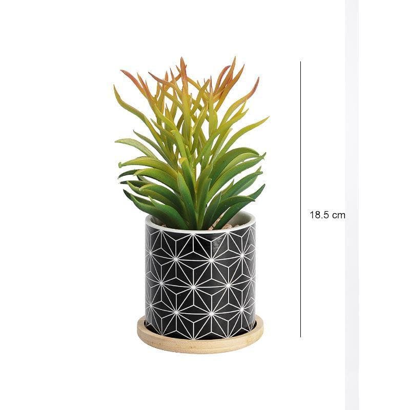 Artificial Plants - Faux Euphorbia In Minimalist Pot - 18.5 cms