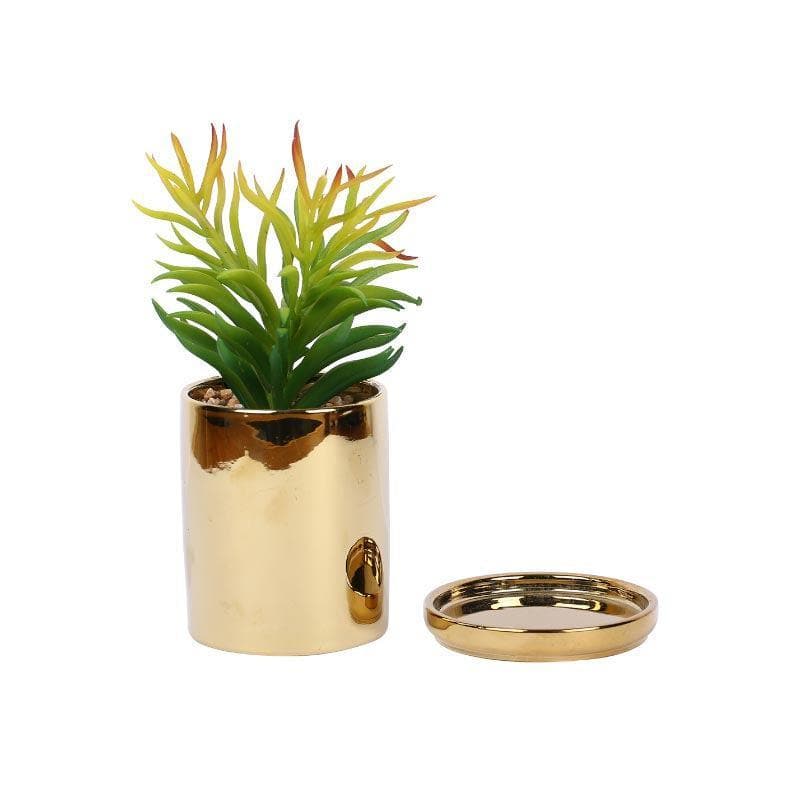 Artificial Plants - Faux Euphorbia In Pot With Coaster - 20 cms