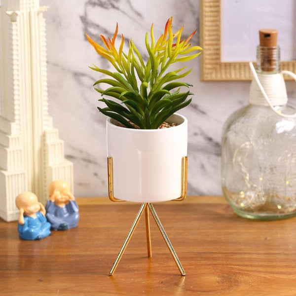 Artificial Plants - Faux Euphorbia In White Pot With Tripod - 25.5 cms