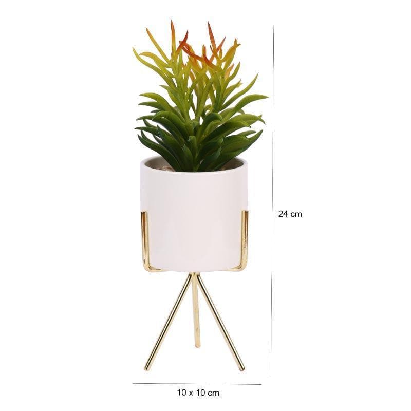 Artificial Plants - Faux Euphorbia In White Pot With Tripod - 25.5 cms