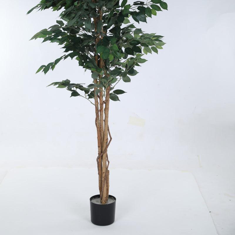 Artificial Plants - Faux Evergreen Ficus Plant with Pot - 5.91 ft