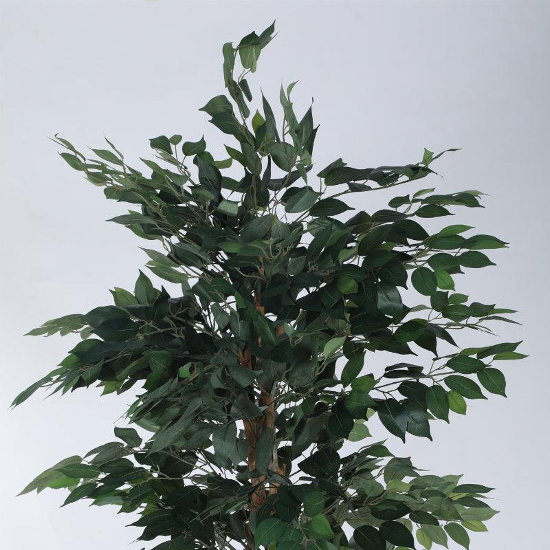 Artificial Plants - Faux Evergreen Ficus Plant with Pot - 5.91 ft