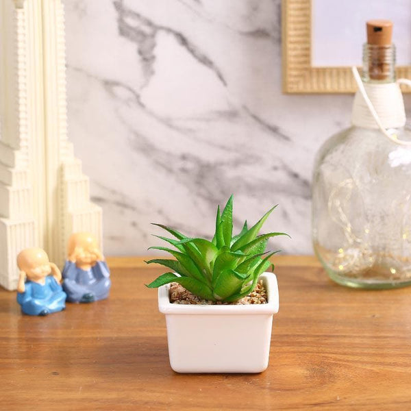 Artificial Plants - Faux Fasciated Haworthia In White Pot - 13 cms