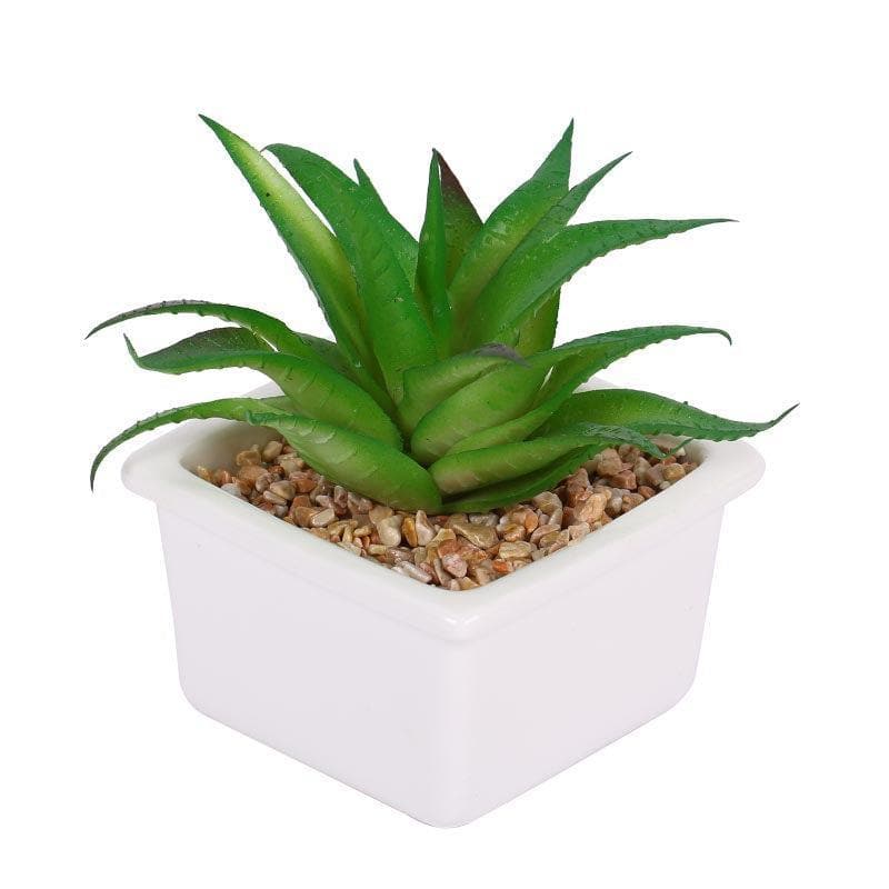 Artificial Plants - Faux Fasciated Haworthia In White Pot - 13 cms