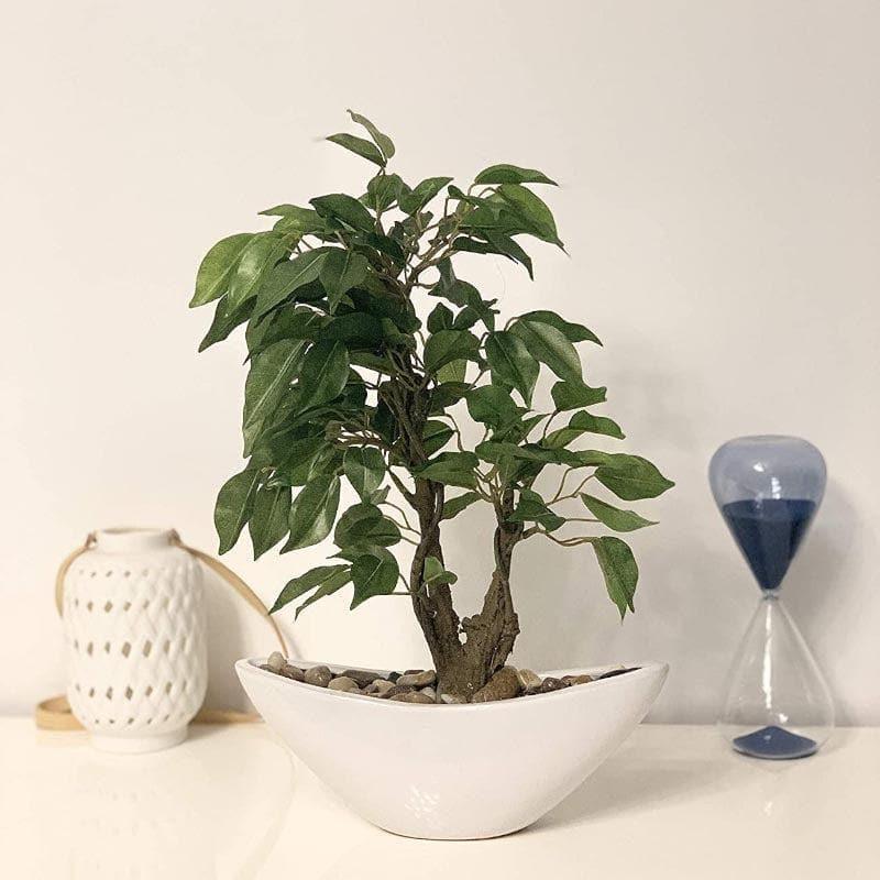 Buy Faux Ficus Bonsai In Bowl Pot - 35 cms Artificial Plants from Vaaree