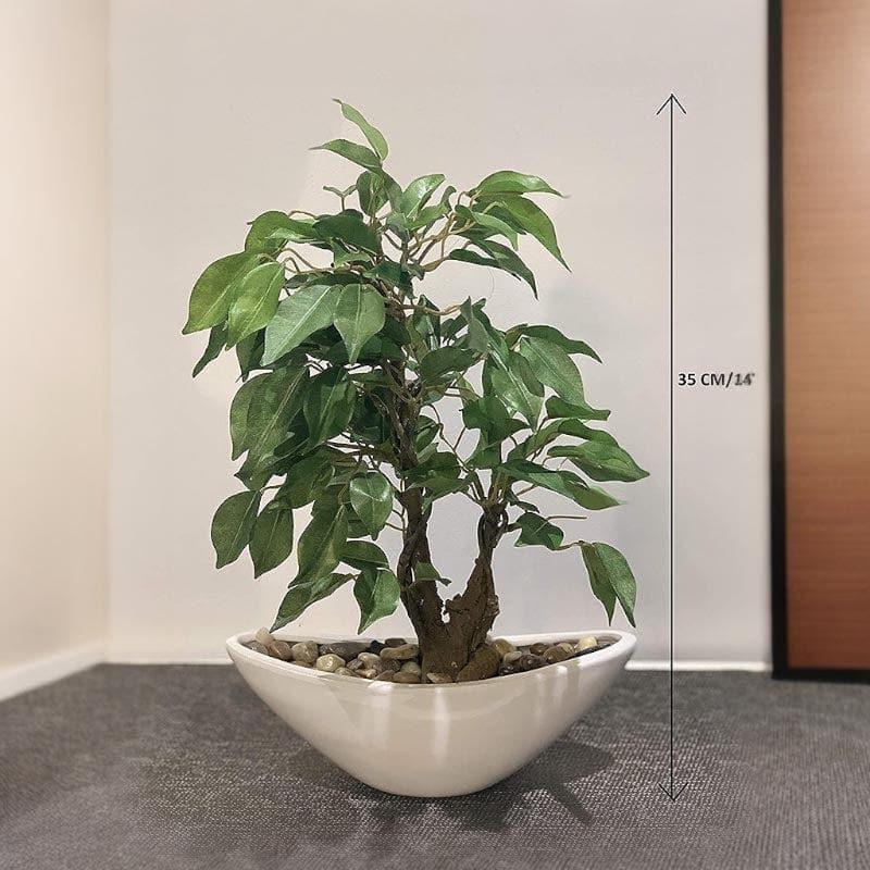 Artificial Plants - Faux Ficus Bonsai In Bowl Pot - 35 cms