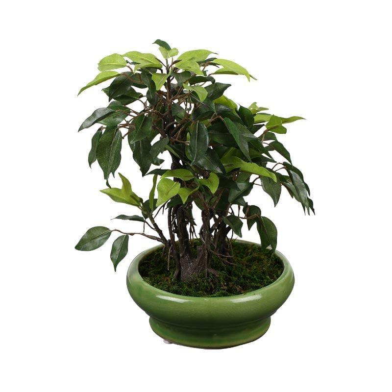 Artificial Plants - Faux Ficus Bonsai In Bubble Pot (29 cms) - Green