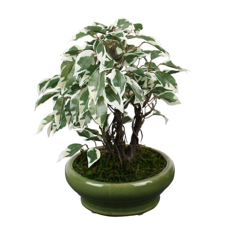 Artificial Plants - Faux Ficus Bonsai In Bubble Pot (29 cms) - Green & White