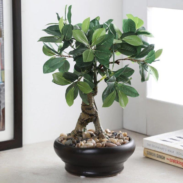 Artificial Plants - Faux Ficus Bonsai In Ceramic Pot (32 cms) - Green