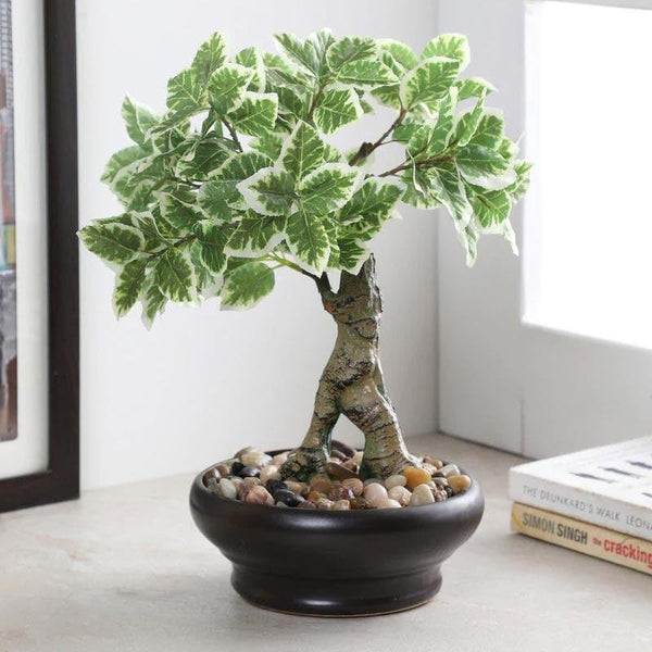 Artificial Plants - Faux Ficus Bonsai In Ceramic Pot (32 cms) - Mint