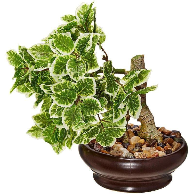 Artificial Plants - Faux Ficus Bonsai In Ceramic Pot (32 cms) - Mint