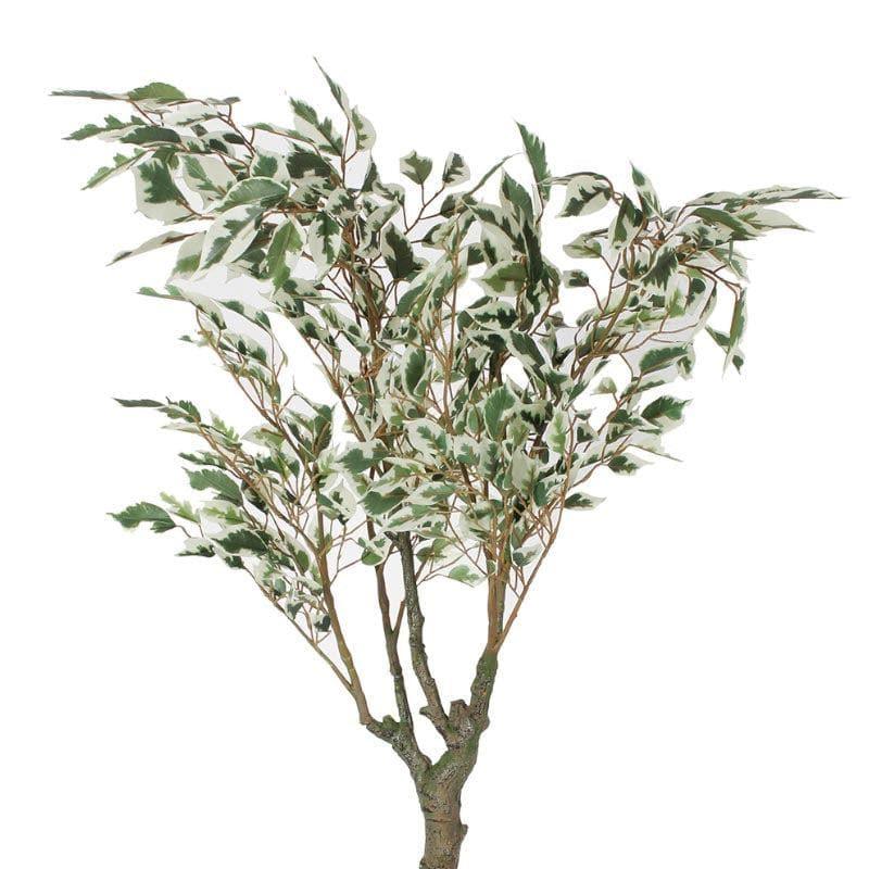 Buy Faux Ficus Bonsai In Cone Pot - 2.46 ft Artificial Plants from Vaaree