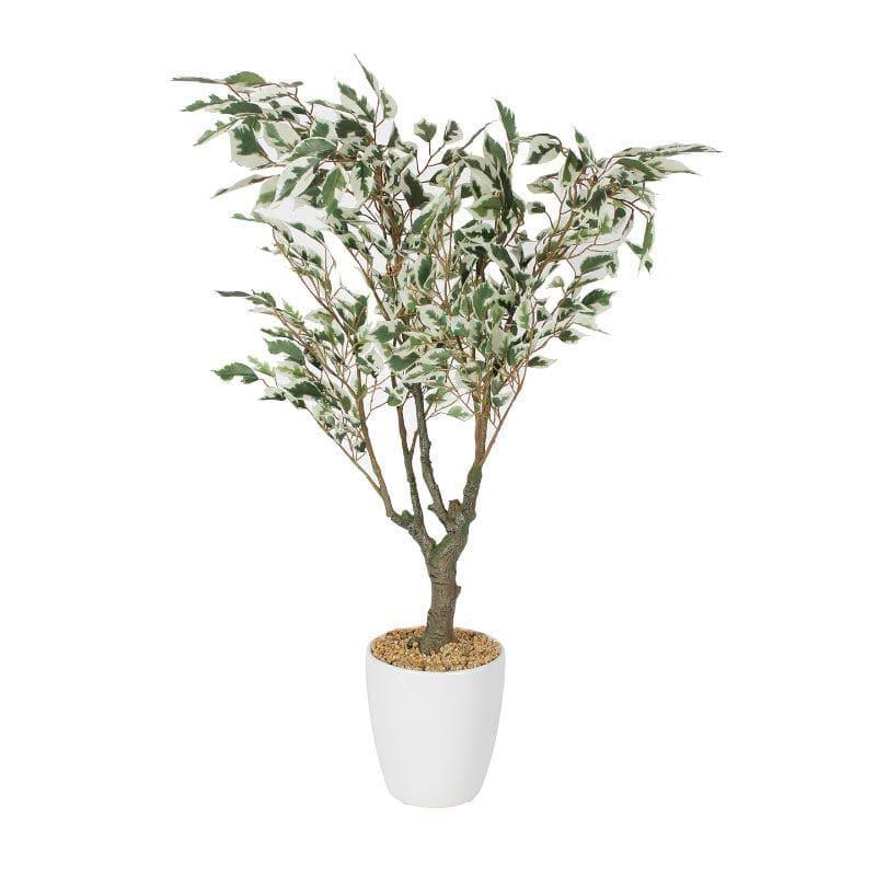 Buy Faux Ficus Bonsai In Cone Pot - 2.46 ft Artificial Plants from Vaaree