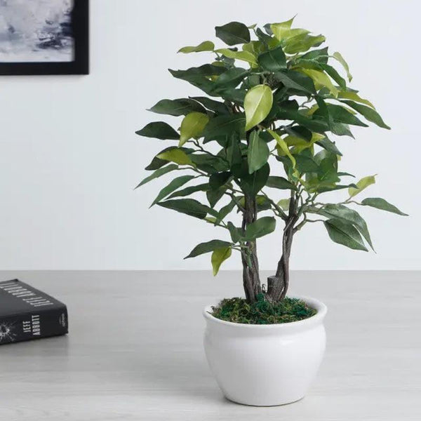 Buy Artificial Plants - Faux Ficus Bonsai In Round Pot - Green at Vaaree online