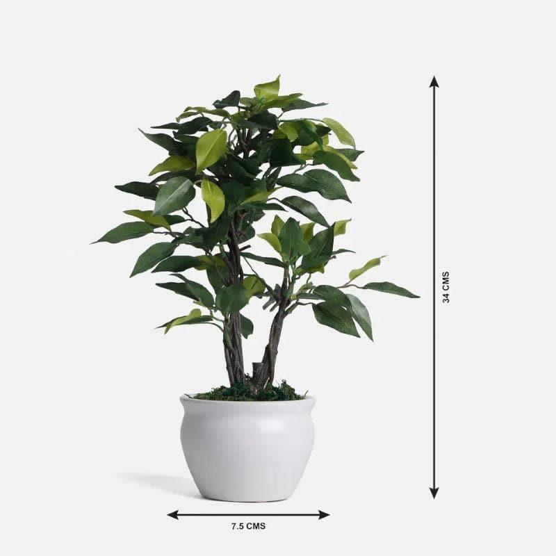 Buy Faux Ficus Bonsai In Round Pot (33 cms) - Green Artificial Plants from Vaaree