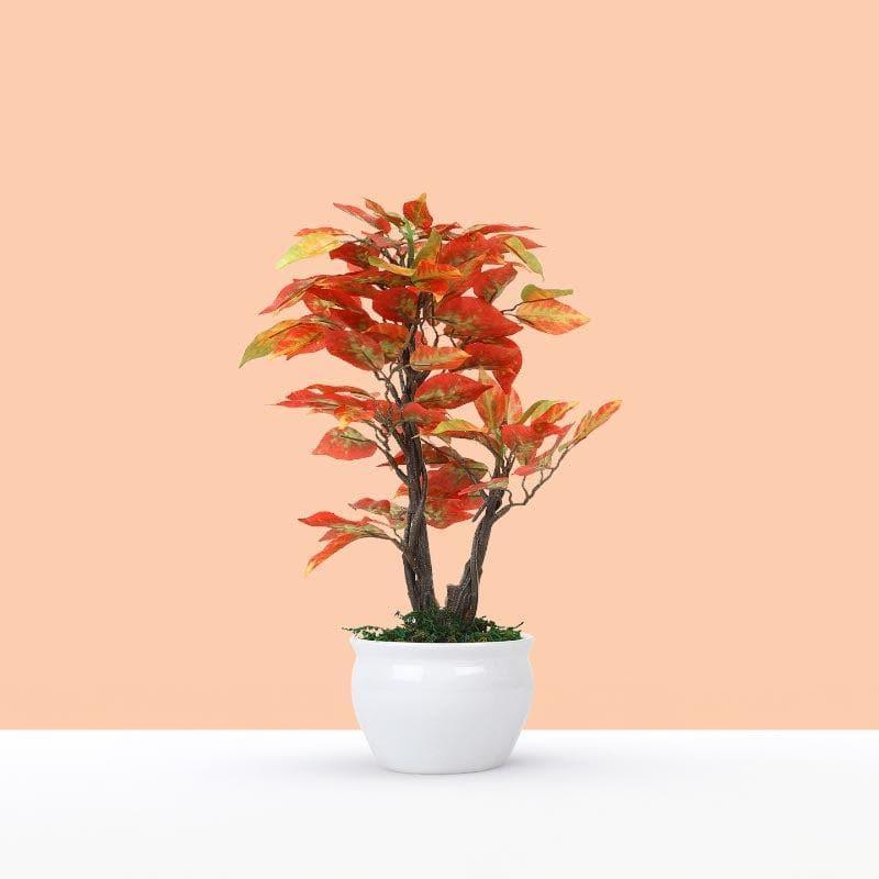 Buy Faux Ficus Bonsai In Round Pot (33 cms) - Red Artificial Plants from Vaaree