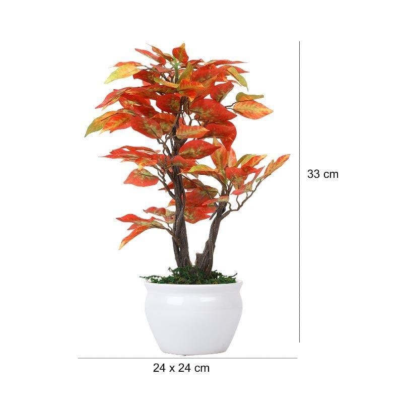 Buy Faux Ficus Bonsai In Round Pot (33 cms) - Red Artificial Plants from Vaaree