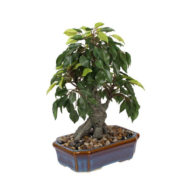 Buy Faux Ficus Bonsai In Tray Pot - 37 cms Artificial Plants from Vaaree