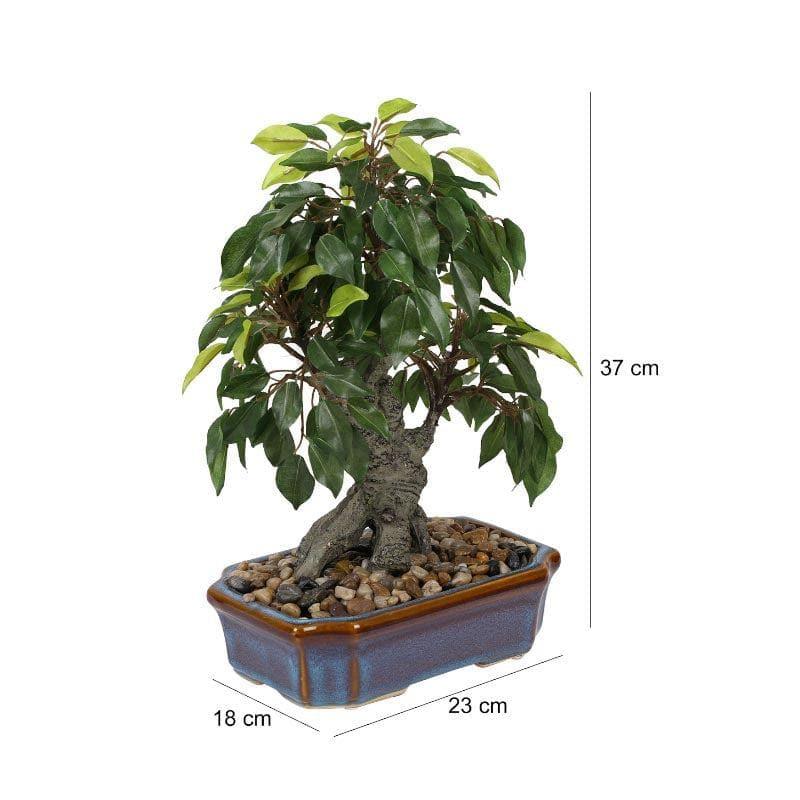 Buy Faux Ficus Bonsai In Tray Pot - 37 cms Artificial Plants from Vaaree