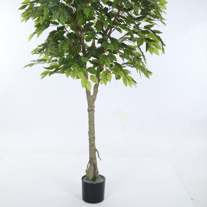 Buy Faux Ficus Plant With Pot - 5.91 ft Artificial Plants from Vaaree