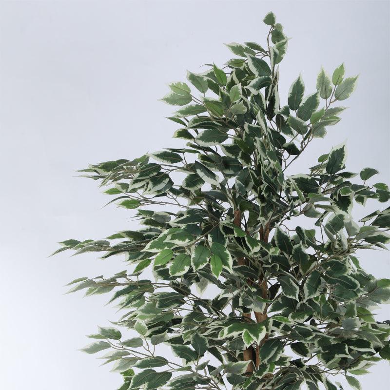 Artificial Plants - Faux Ficus Variegated Plant With Pot - 5.91 ft