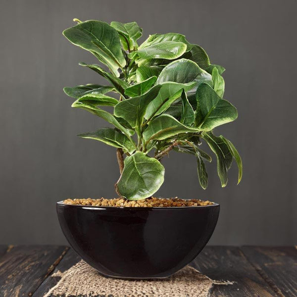 Artificial Plants - Faux Fiddle Bonsai In Bowl Pot - 29 cms