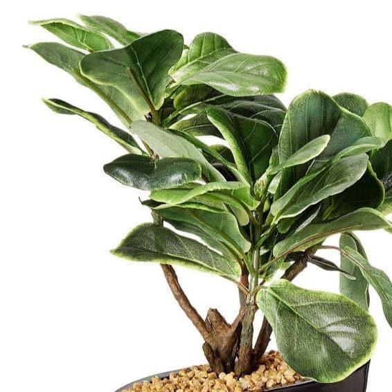 Buy Faux Fiddle Bonsai In Bowl Pot - 29 cms Artificial Plants from Vaaree