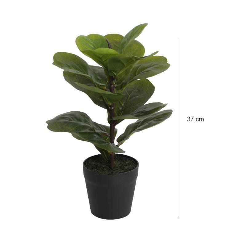 Buy Faux Fiddle Bonsai In Cone Pot - 37 cms Artificial Plants from Vaaree