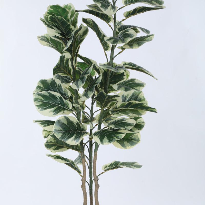 Buy Faux Fiddle Leaf Fig Plant With Pot - 4.92 ft Artificial Plants from Vaaree