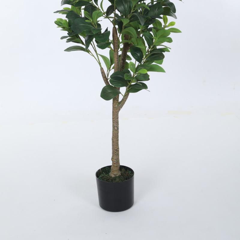 Buy Faux Fig Plant With Pot - 3.94 ft Artificial Plants from Vaaree