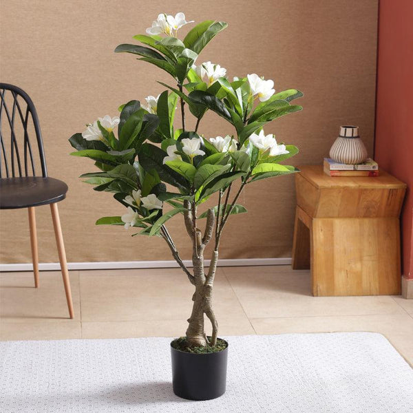 Buy Faux Frangipani Bloom Plant With Pot - 3.61 ft Artificial Plants from Vaaree