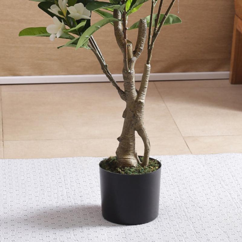 Buy Faux Frangipani Bloom Plant With Pot - 3.61 ft Artificial Plants from Vaaree