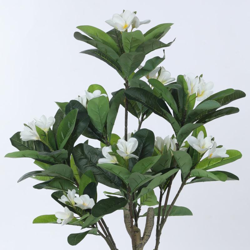 Buy Faux Frangipani Bloom Plant With Pot - 3.61 ft Artificial Plants from Vaaree