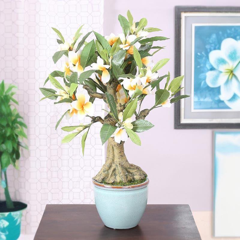 Artificial Plants - Faux Frangipani Bonsai In Ceramic Pot (2.07 ft) - White