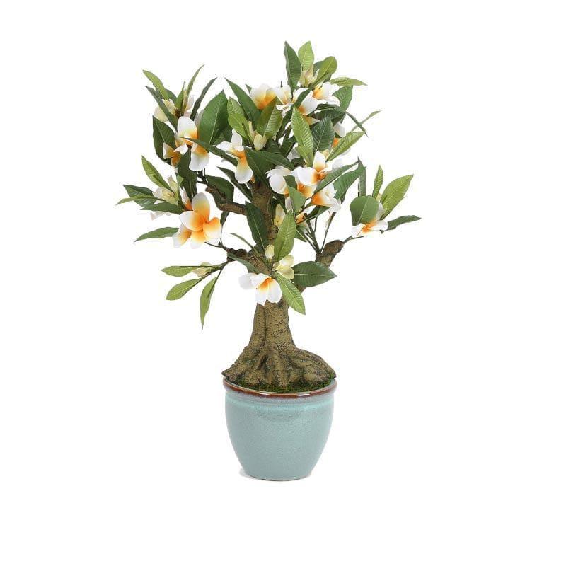 Buy Faux Frangipani Bonsai In Ceramic Pot (2.07 ft) - White Artificial Plants from Vaaree