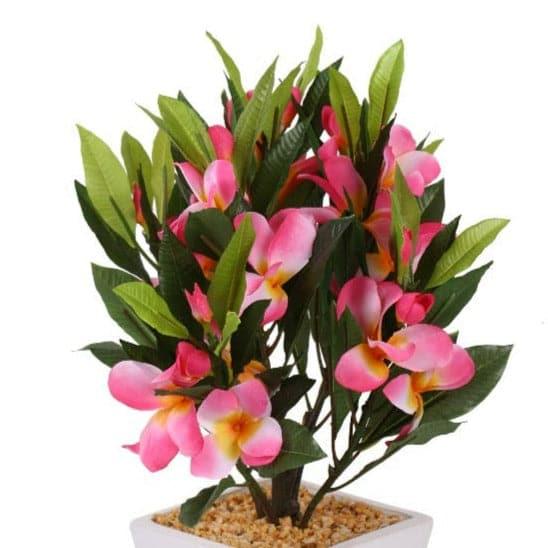 Artificial Plants - Faux Frangipani Bonsai (41 cms) - Pink