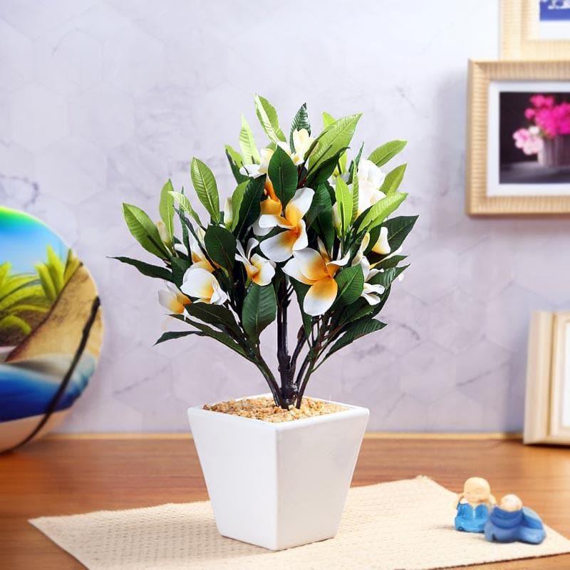 Artificial Plants - Faux Frangipani Bonsai (30 cms) - White