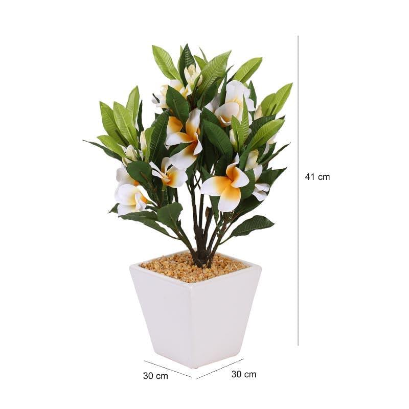 Artificial Plants - Faux Frangipani Bonsai (30 cms) - White