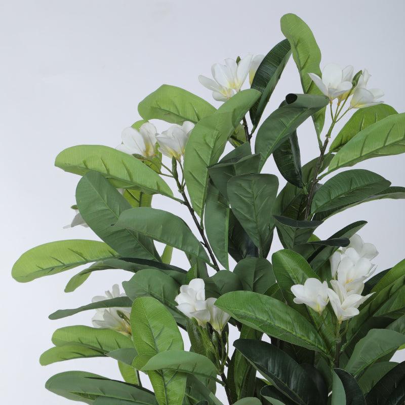 Artificial Plants - Faux Frangipani Plant With Pot - 3.94 ft