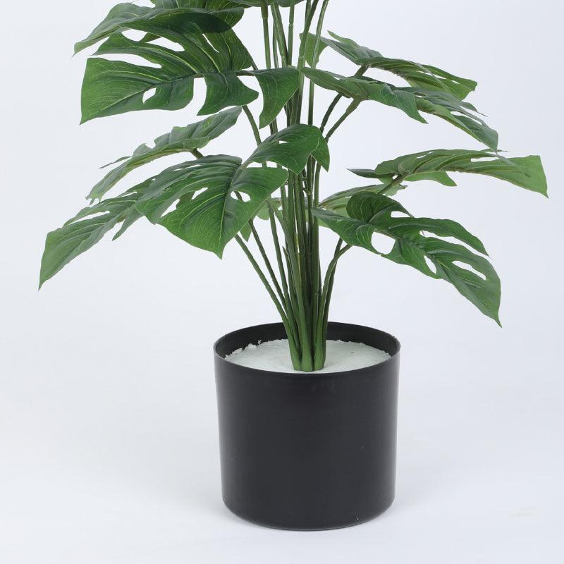 Buy Faux Fringe Monstera Plant With Pot - 2.13 ft Artificial Plants from Vaaree